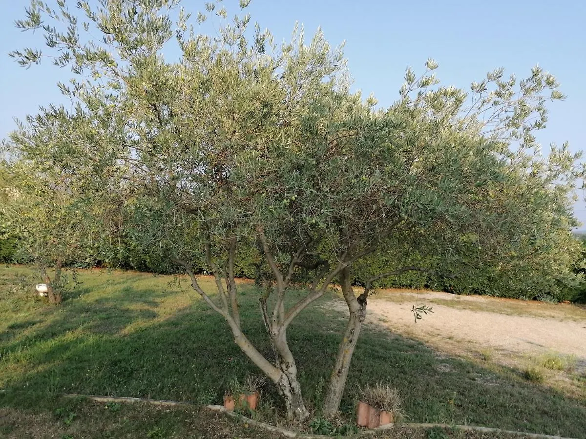 Holiday home Maison Au Calme Entre Vignes Et Luberon Saint-Martin-de-la-Brasque