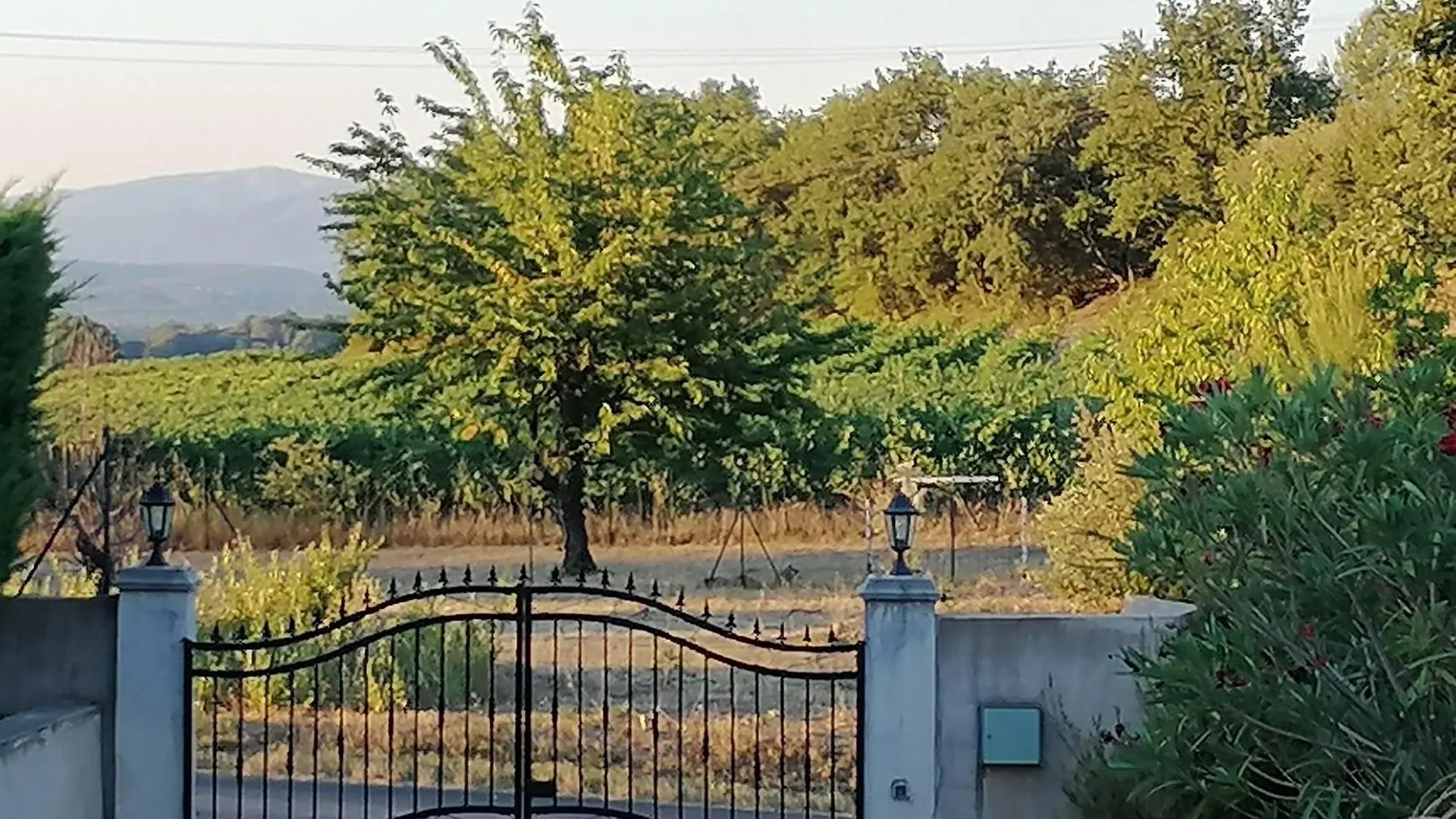 Maison Au Calme Entre Vignes Et Luberon Saint-Martin-de-la-Brasque